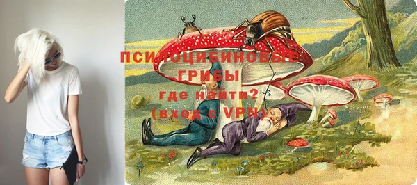 прущая мука Армянск