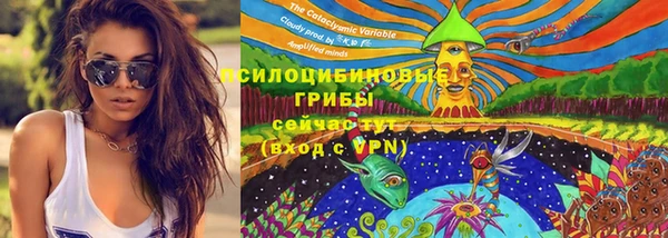 трава Нягань