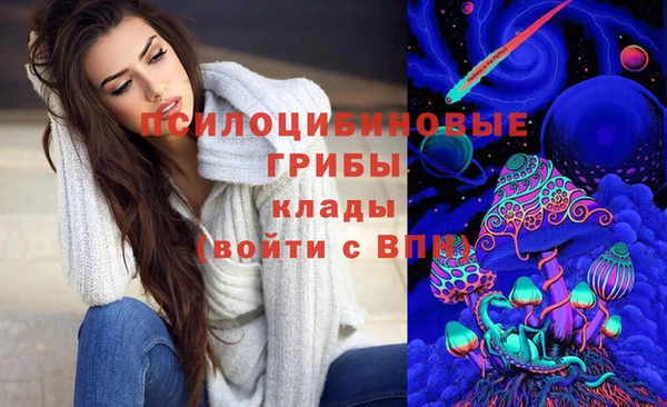 ГАЛЛЮЦИНОГЕННЫЕ ГРИБЫ Алексин